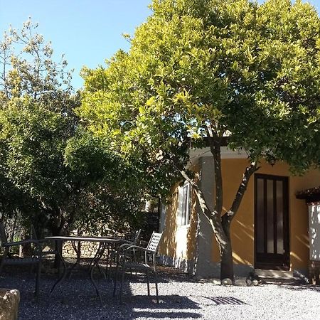 Agriturismo Ardissone Thomas Borganzo Εξωτερικό φωτογραφία